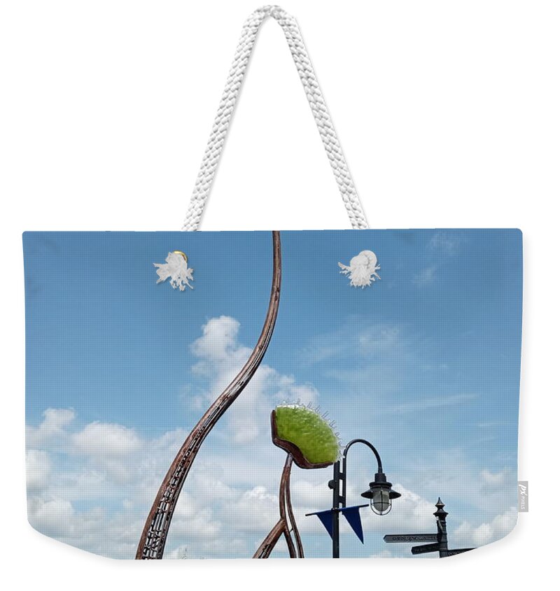 Metal Weekender Tote Bag featuring the photograph Wilmington Flytraps by Heather E Harman