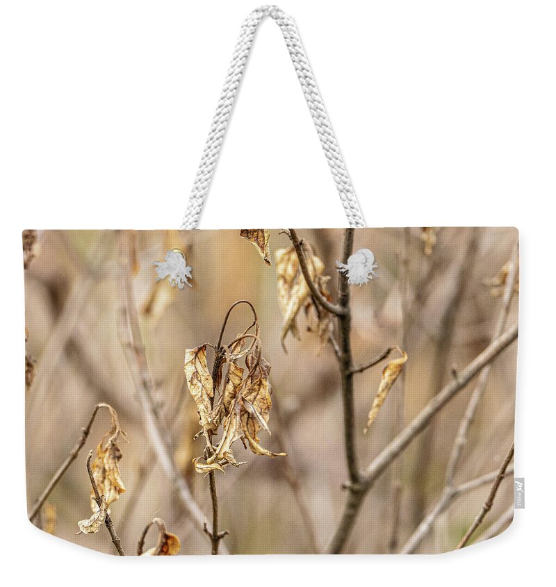 Wilted Leaves Brown Shallow Depth Of Field Weekender Tote Bag featuring the photograph Wilted leaves by David Morehead