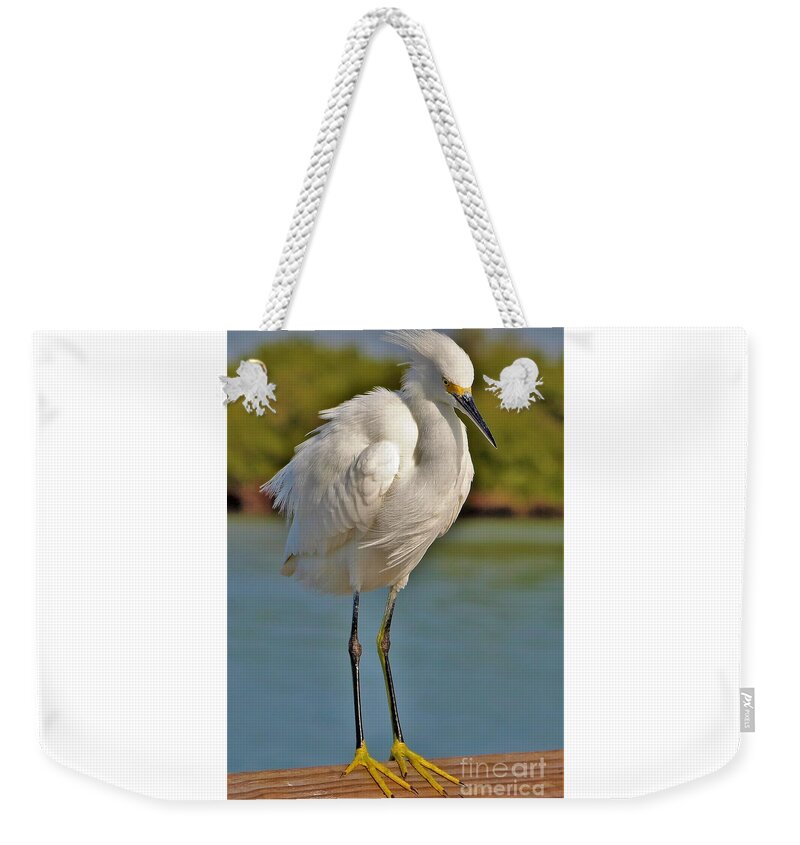 Egret Weekender Tote Bag featuring the photograph Wind in my Feathers by Joanne Carey