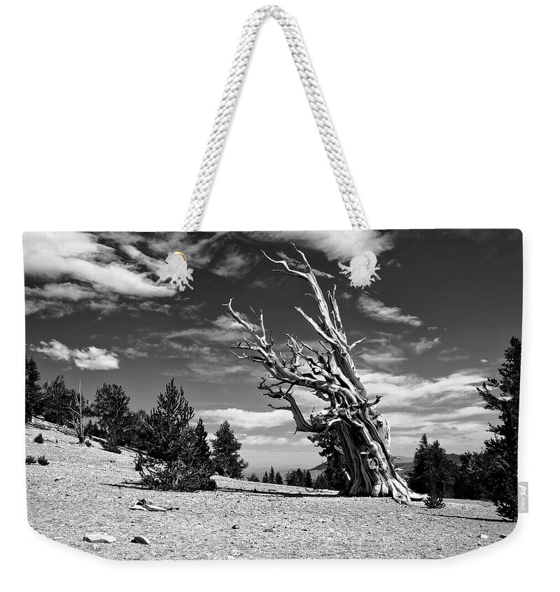 Ca Weekender Tote Bag featuring the photograph Wind Resistance by American Landscapes