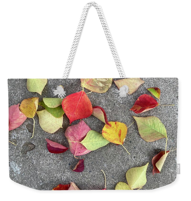 Ornamental Pear Leaves Weekender Tote Bag featuring the photograph Windfalls by Shannon Grissom