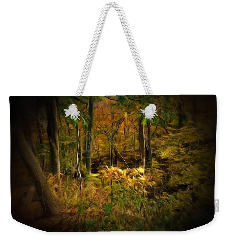 Forest Weekender Tote Bag featuring the photograph Window into the Forest by Christopher Reed