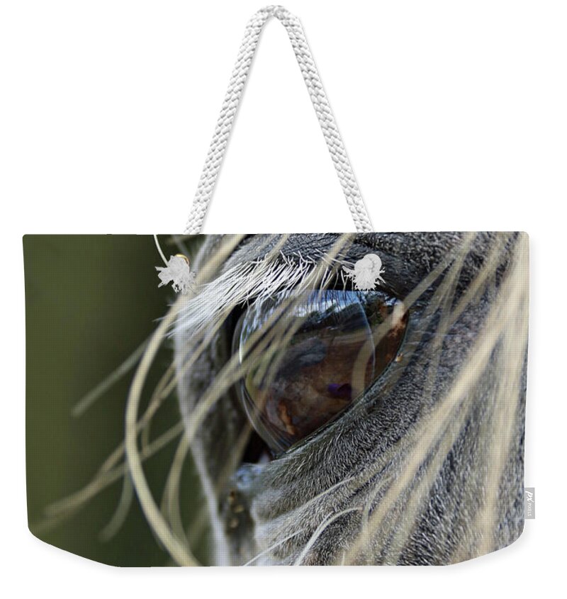 Horse Weekender Tote Bag featuring the photograph Window of the Soul by M Kathleen Warren