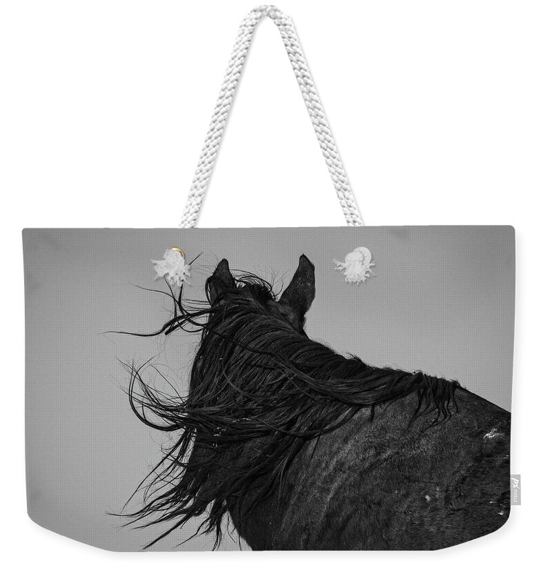 Wild Horses Weekender Tote Bag featuring the photograph Windy Day by Mary Hone