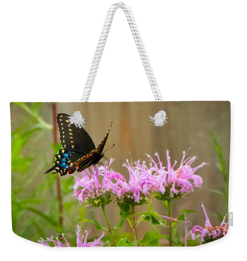  Weekender Tote Bag featuring the photograph Winged Beauty by Jack Wilson