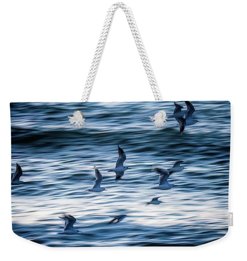 Blue Weekender Tote Bag featuring the photograph Winging it by Johannes Brienesse