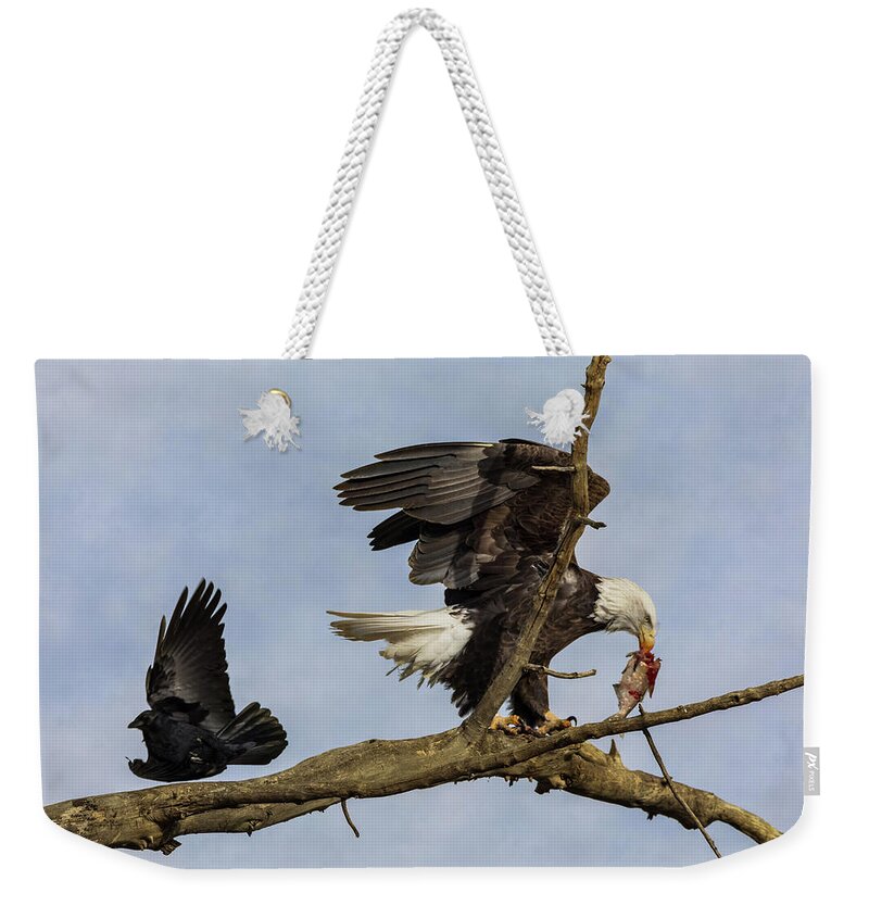 Fish Weekender Tote Bag featuring the photograph Wings by James BO Insogna