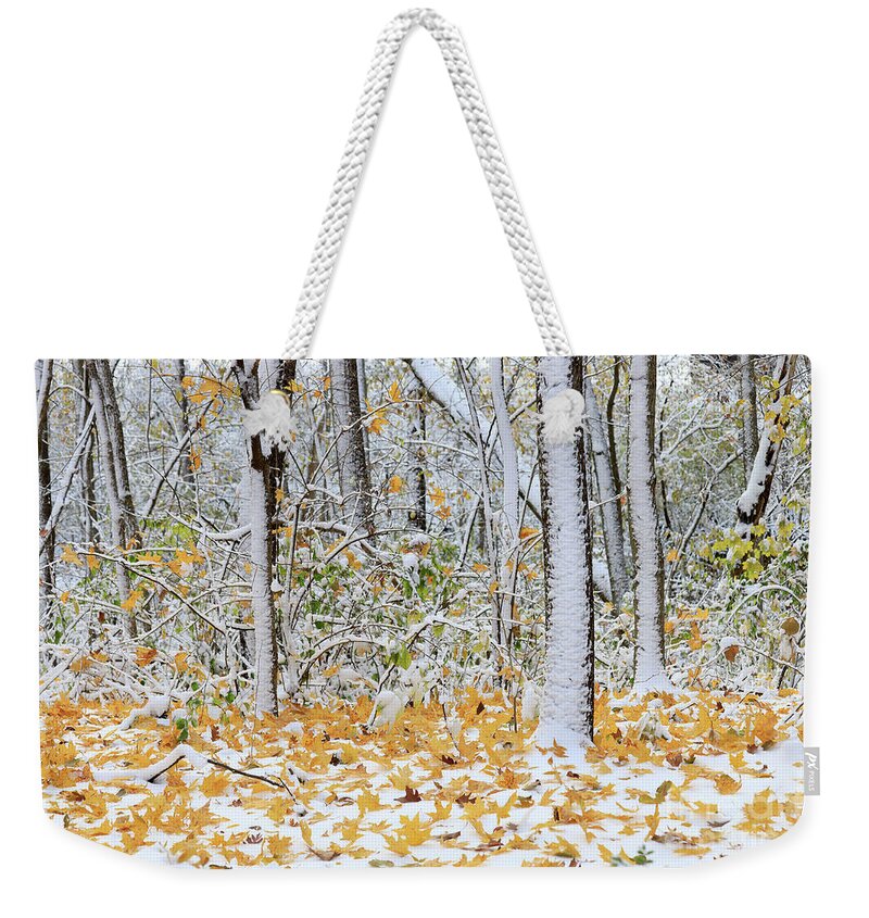 Winter Weekender Tote Bag featuring the photograph Winter and Autumn Meet by Paula Guttilla