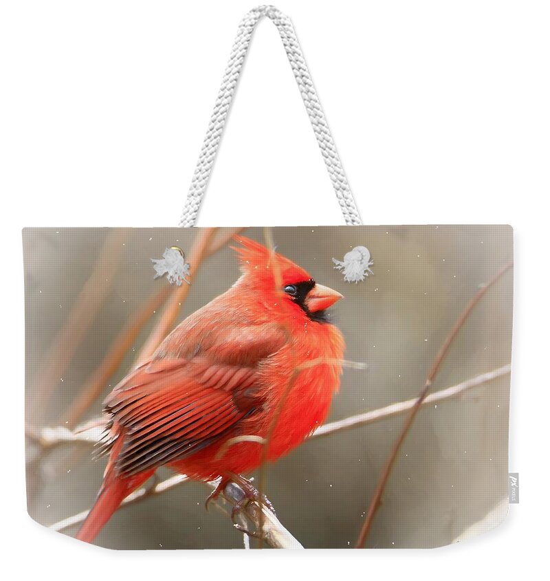 Birds Weekender Tote Bag featuring the photograph Winter Cardinal 3 by Mary Walchuck