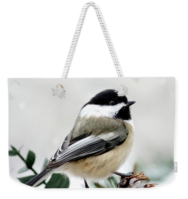 Winter Weekender Tote Bag featuring the photograph Winter Chickadee Square by Christina Rollo