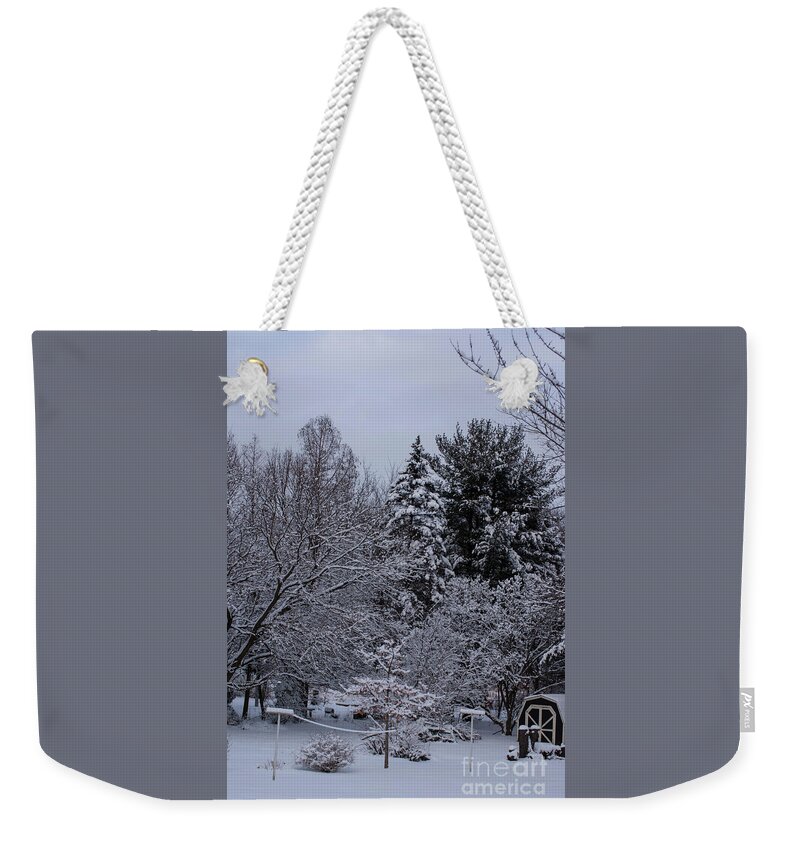 Landscape Photography Weekender Tote Bag featuring the photograph Winter Clothesline by Frank J Casella