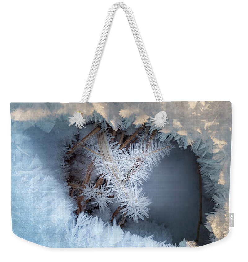 Winter Weekender Tote Bag featuring the photograph Winter Eye Pattern by Karen Rispin