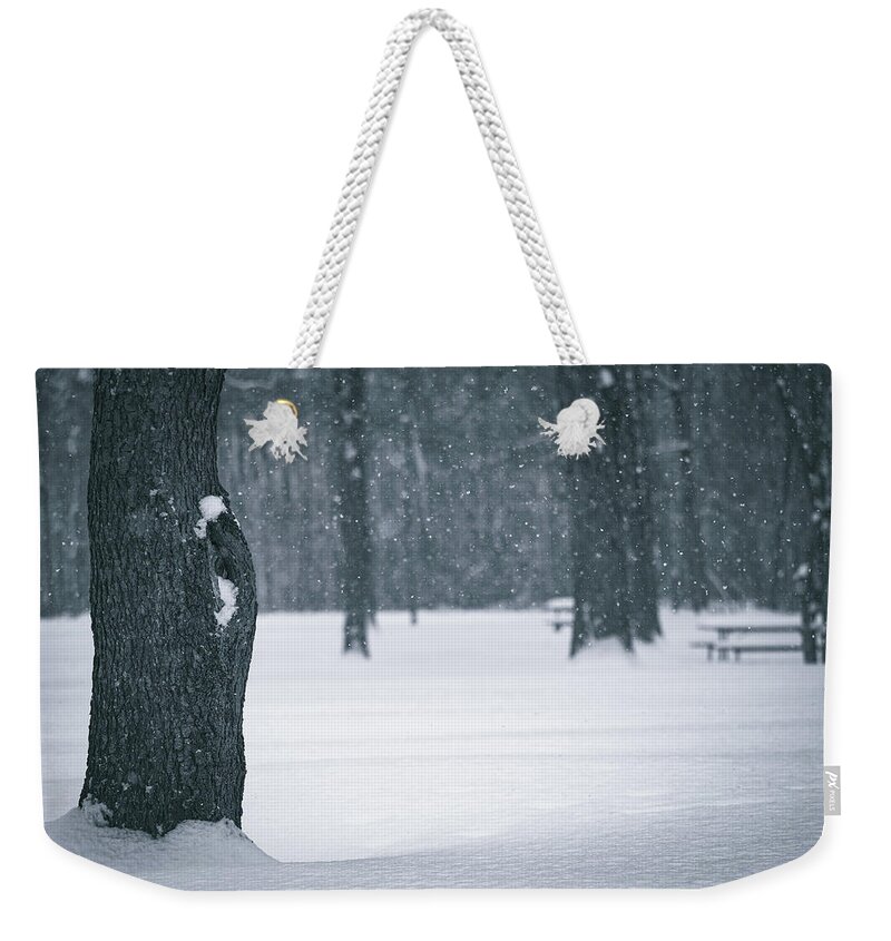 Winter Forest Floor Weekender Tote Bag featuring the photograph Winter Forest Floor by Dan Sproul