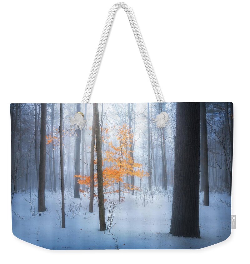 Forest Weekender Tote Bag featuring the photograph Winter Forest by Henry w Liu