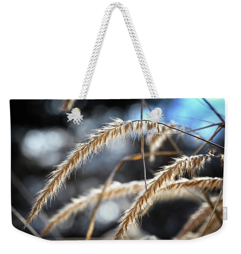 Grain Weekender Tote Bag featuring the photograph Winter Grain by Steven Nelson