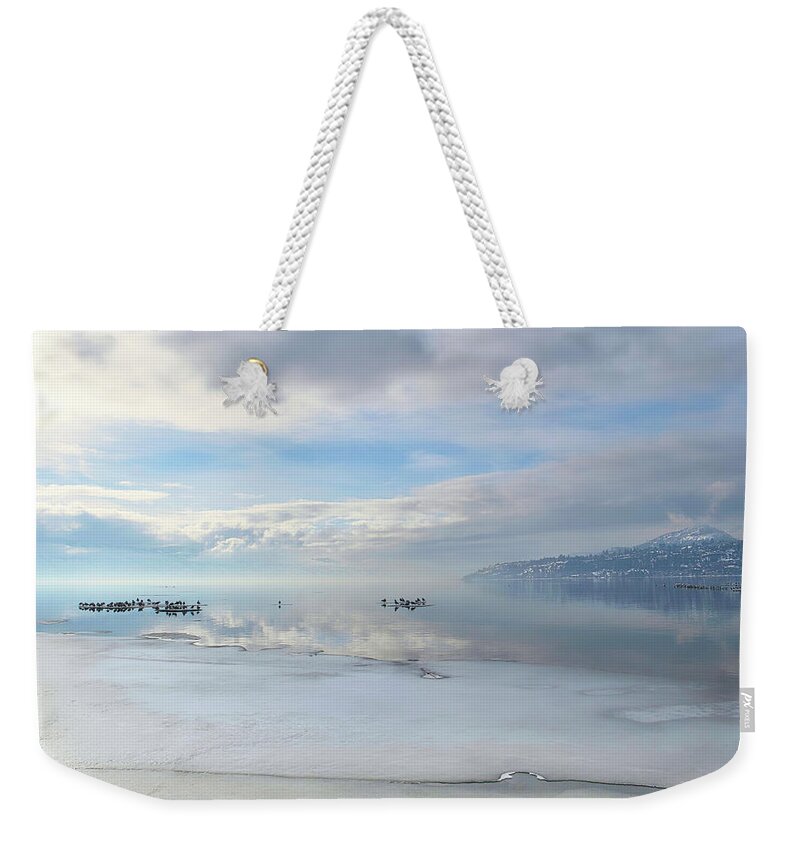 Landscape Weekender Tote Bag featuring the photograph Winter Gulls and Lake Ice by Allan Van Gasbeck