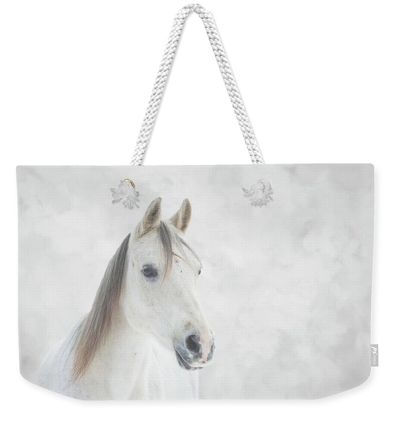 Horse Weekender Tote Bag featuring the photograph Winter Horse by JBK Photo Art