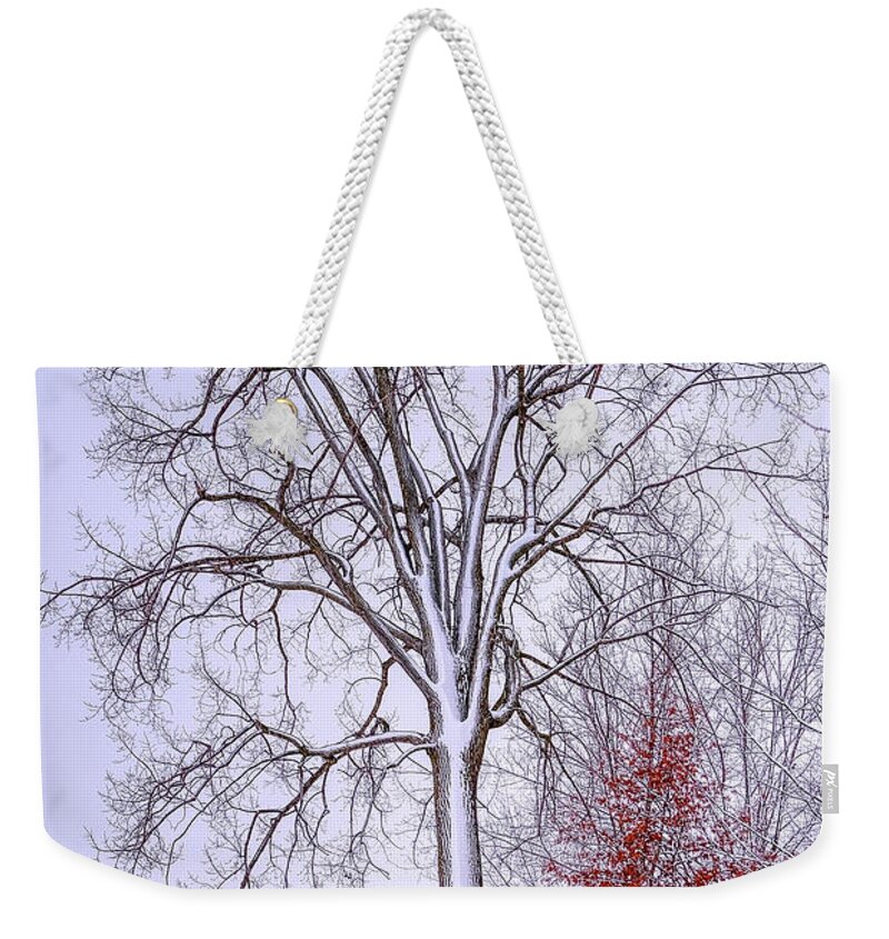 White Weekender Tote Bag featuring the photograph Winter, i don't wanna a lose red by Carl Marceau