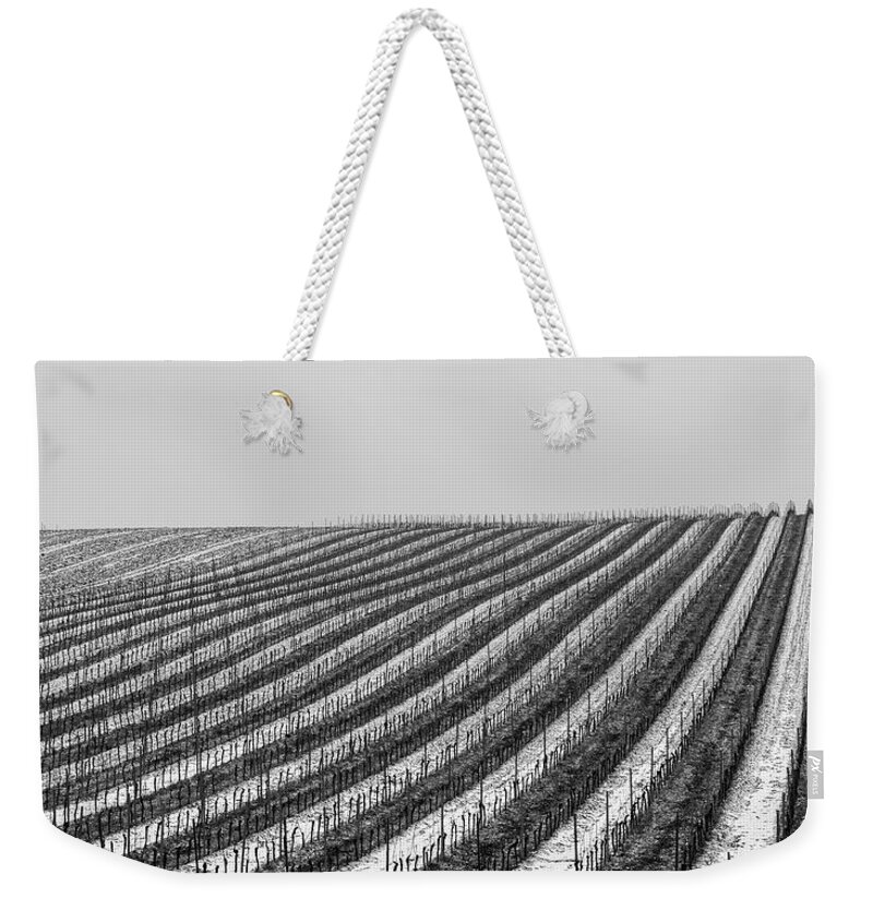 Winter Weekender Tote Bag featuring the photograph Winter in the Vineyard by Martin Vorel Minimalist Photography