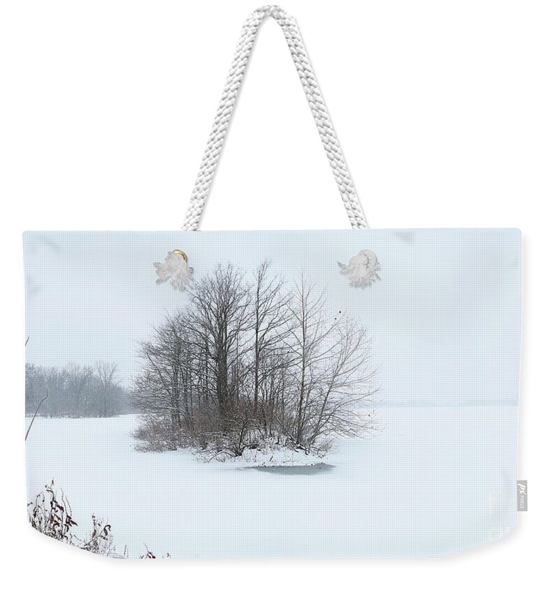 Frozen Lake Weekender Tote Bag featuring the photograph Winter island by Garry McMichael
