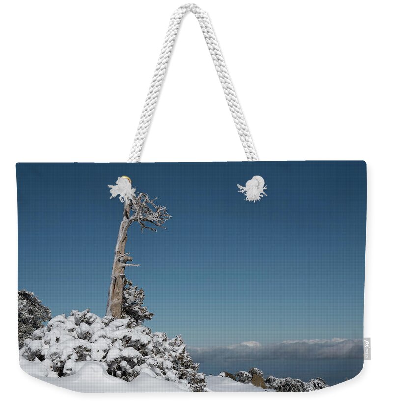 Single Tree Weekender Tote Bag featuring the photograph Winter landscape in snowy mountains. frozen snowy lonely fir trees against blue sky. by Michalakis Ppalis