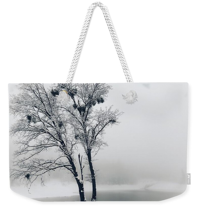 Black And White Weekender Tote Bag featuring the photograph Winter Oak by Steph Gabler