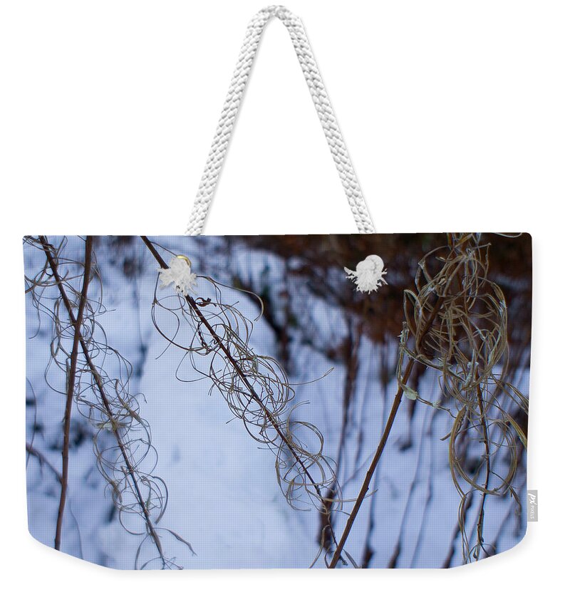 Rosebay Willowherb Weekender Tote Bag featuring the photograph Winter of Fireweed by Elena Perelman