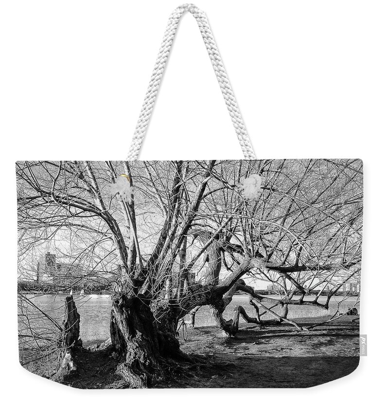 Boston Weekender Tote Bag featuring the photograph Winter on the Charles by Steven Nelson