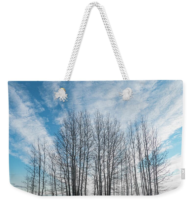 Sky Weekender Tote Bag featuring the photograph Winter poplar bluff and sky by Karen Rispin