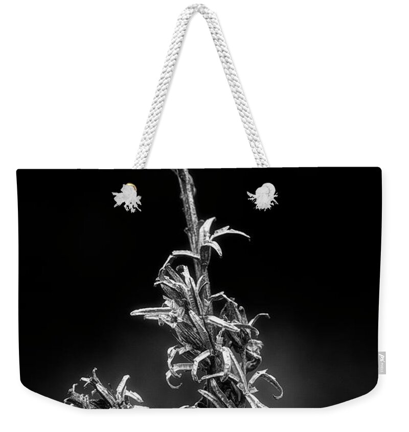 Pond Weekender Tote Bag featuring the photograph Winter Silhouette by Cate Franklyn