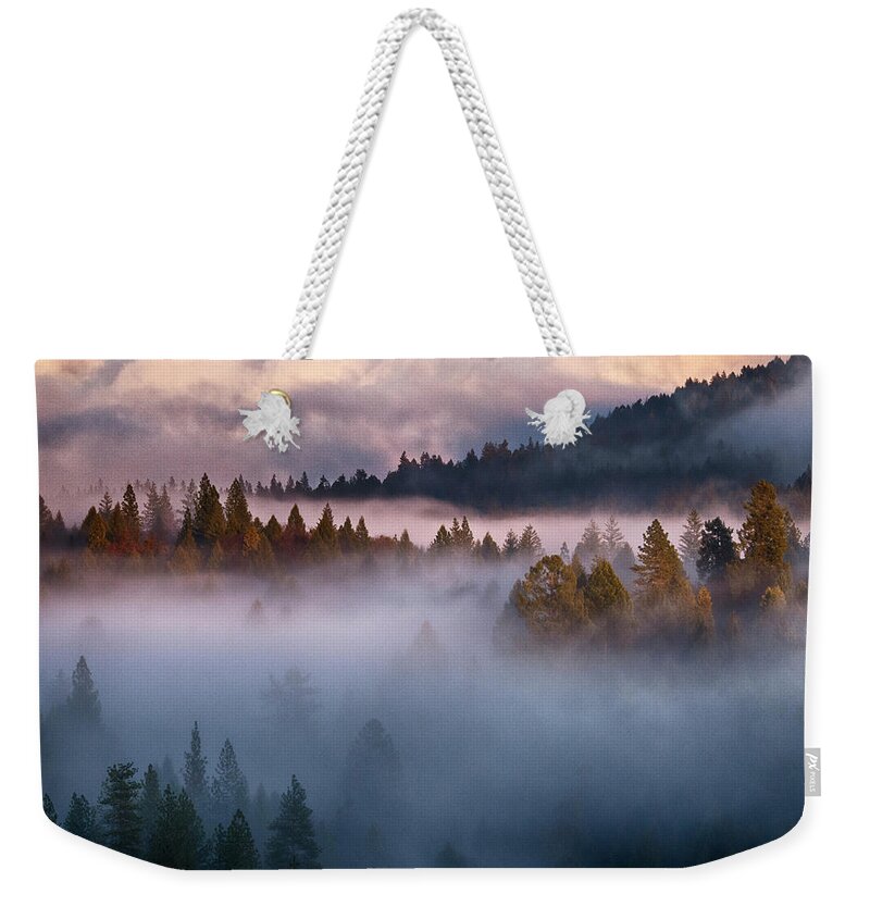 Winter Weekender Tote Bag featuring the photograph Winter Storm 2828 by Tom Kelly