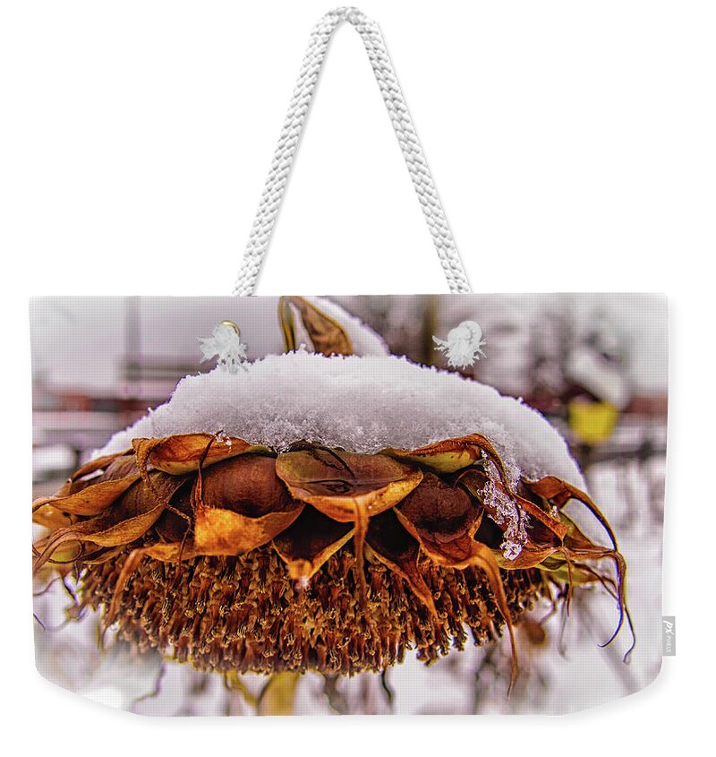 Closeup Weekender Tote Bag featuring the photograph Winter Sunflowers Last Days by Louis Dallara