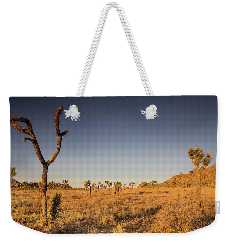Joshua Tree National Park Sunset Weekender Tote Bag featuring the photograph Winter sunset in the desert by Kunal Mehra
