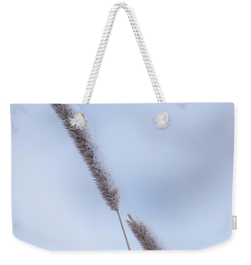 Winter Weekender Tote Bag featuring the photograph Winter Timothy Grass by Karen Rispin