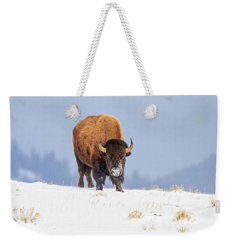 Bison Weekender Tote Bag featuring the photograph Winter Warrior by Jack Bell