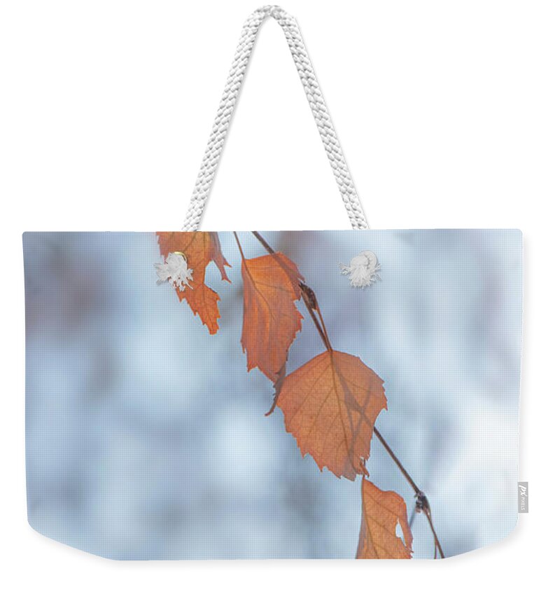 Winter Weekender Tote Bag featuring the photograph Winter Weeping Birch Leaves by Karen Rispin