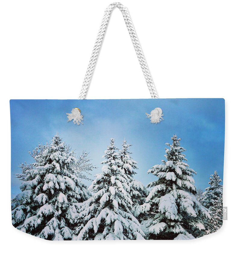Winter Weekender Tote Bag featuring the photograph Winter Wonderland by Sarah Lilja