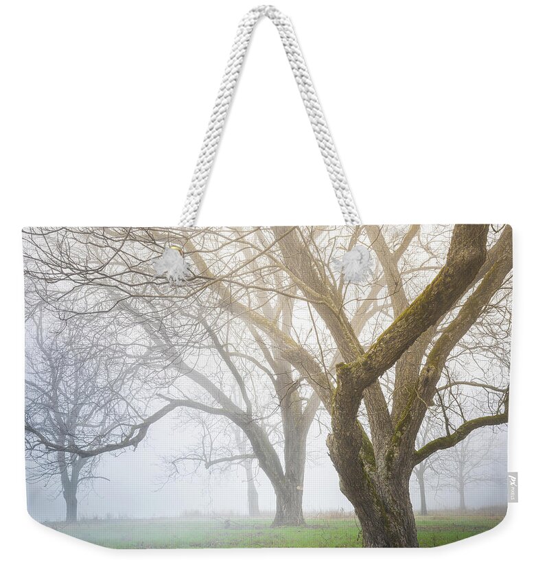 Trees Weekender Tote Bag featuring the photograph Winter Woodland In Fog by Jordan Hill