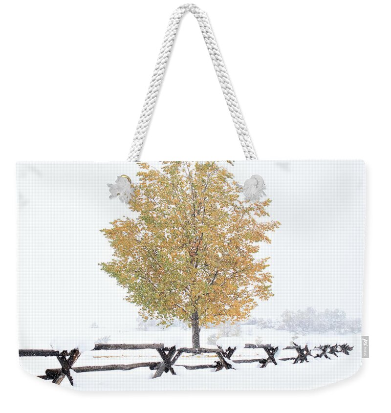 Seasonal Weekender Tote Bag featuring the photograph Winter's Soldier by American Landscapes