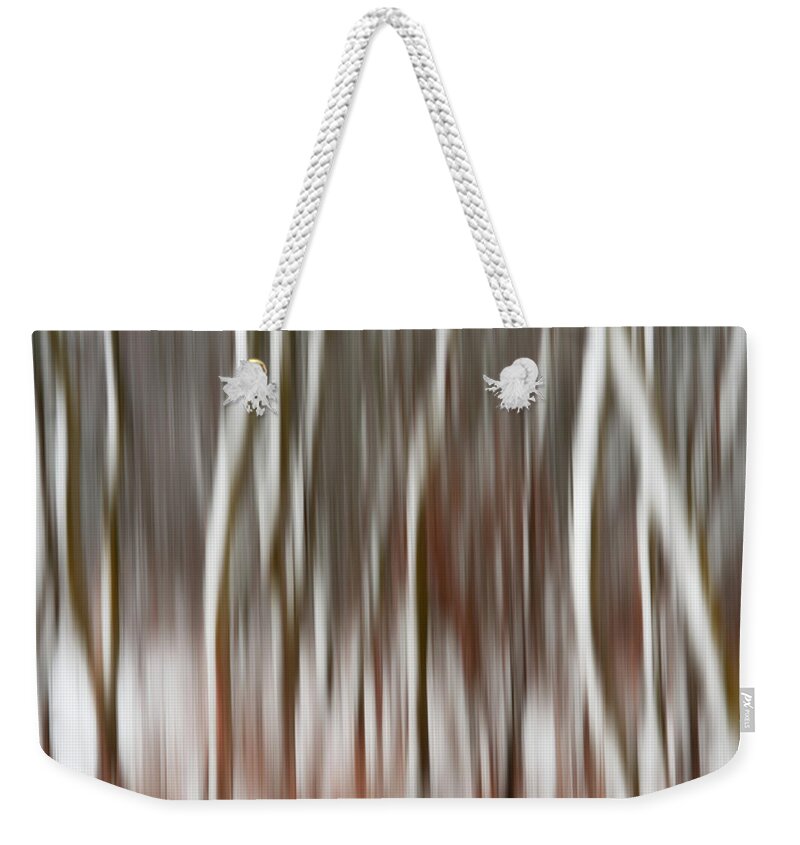 Icm Weekender Tote Bag featuring the photograph Wisconsin Snowblurred -  Intentional camera motion at a snowy tree grove by Peter Herman