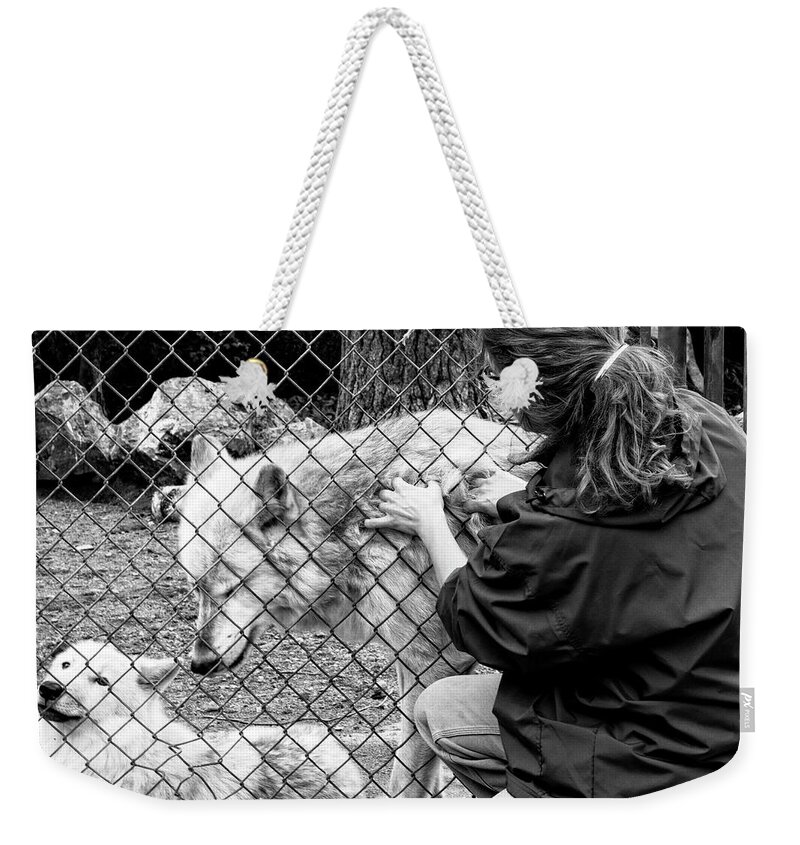 Wolves Weekender Tote Bag featuring the photograph Wolves by Cynthia Dickinson