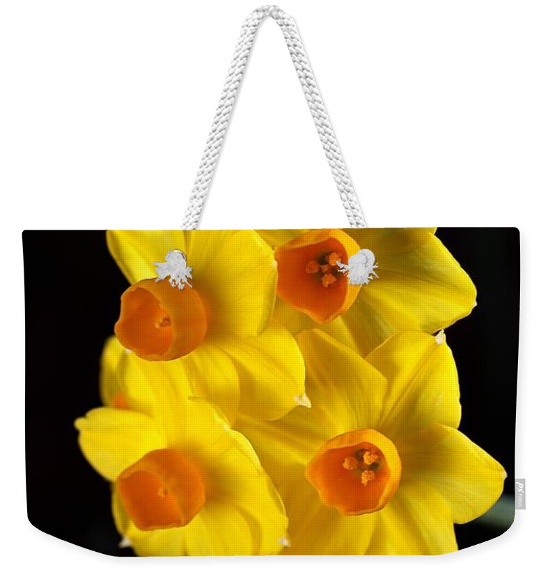 Daffodil Weekender Tote Bag featuring the photograph Wonderful Jonquils by Joy Watson