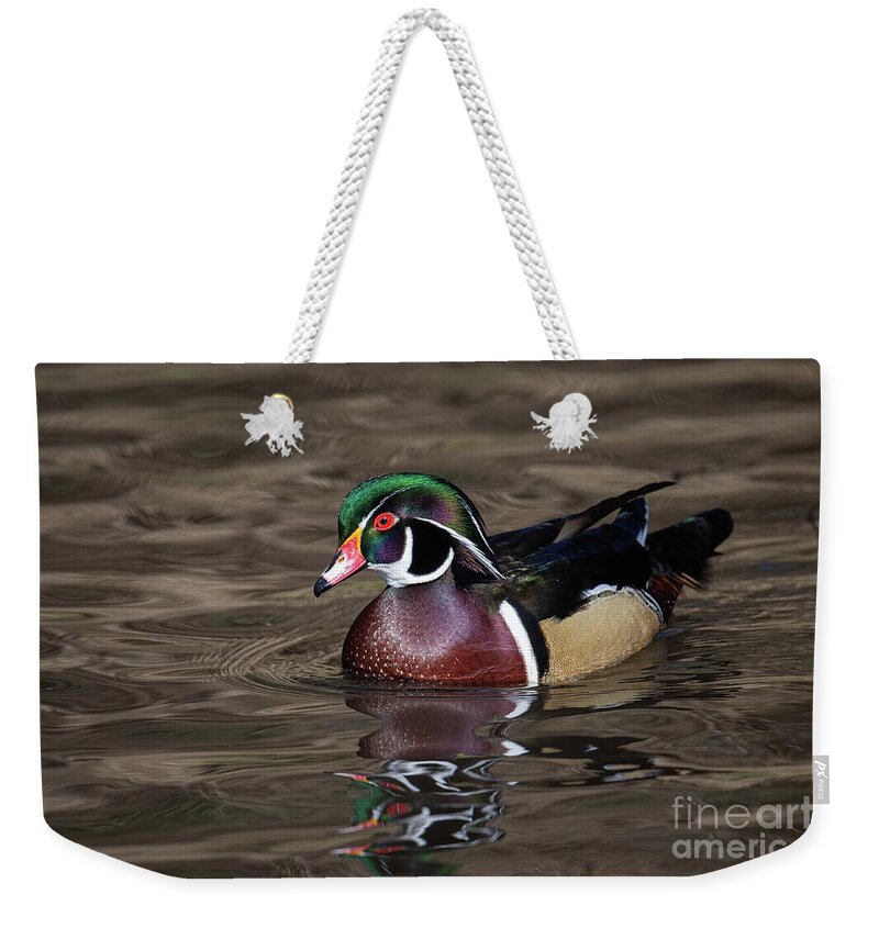 Natural Weekender Tote Bag featuring the photograph Wood Duck Swimming by Craig Leaper