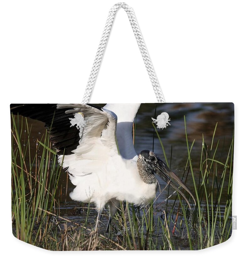 Wood Storks Weekender Tote Bag featuring the photograph Wood stork 3 by Mingming Jiang
