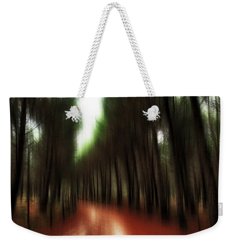 Woodland Weekender Tote Bag featuring the photograph Autumn path 2 by Al Fio Bonina
