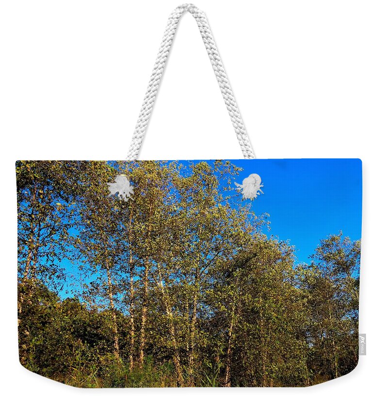 Trees Weekender Tote Bag featuring the photograph Woodlands at Palmyra Nature Cove by Linda Stern
