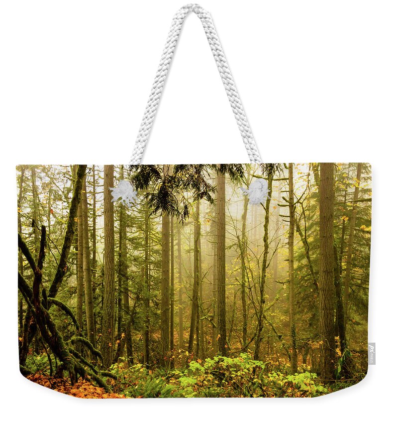 Autumn Weekender Tote Bag featuring the photograph Woods in Autumn by Aashish Vaidya