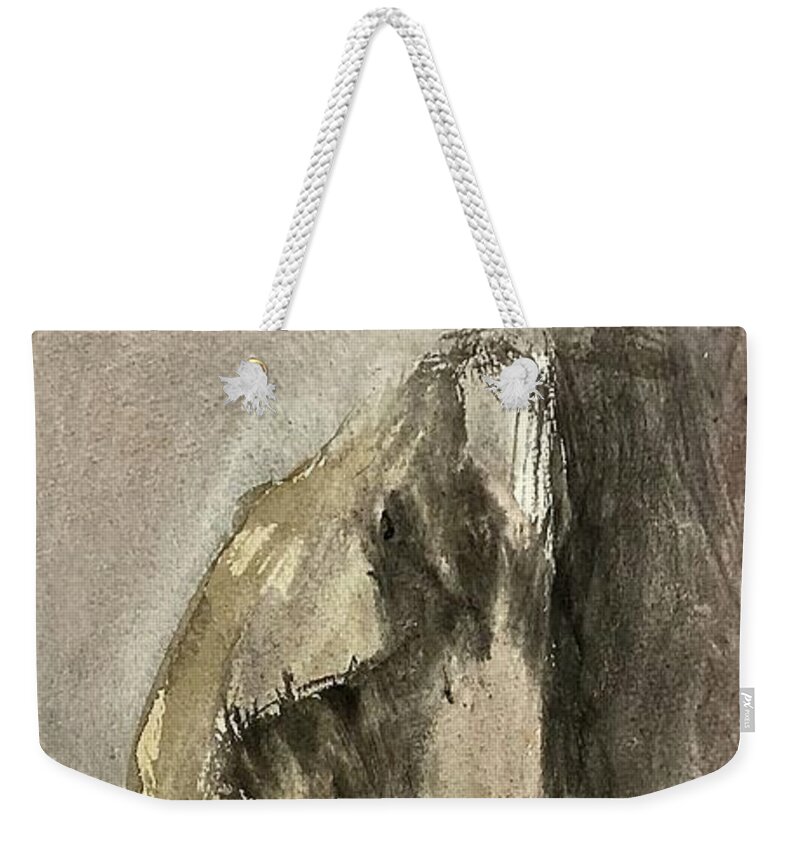 Pigment Weekender Tote Bag featuring the painting Wrapped Figure by David Euler