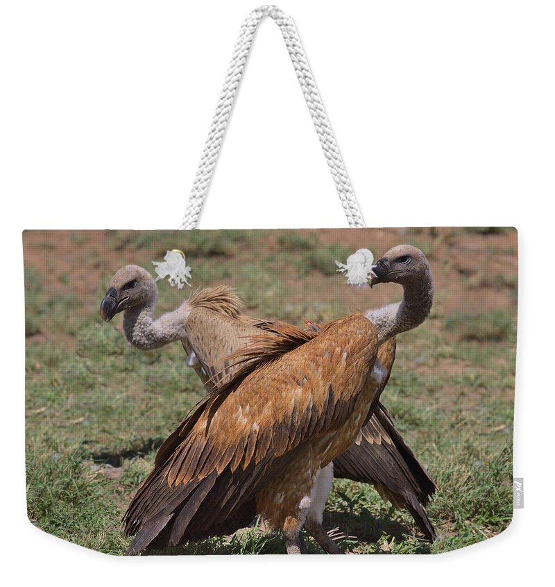 Vulture Weekender Tote Bag featuring the photograph X-birds by Nirav Shah