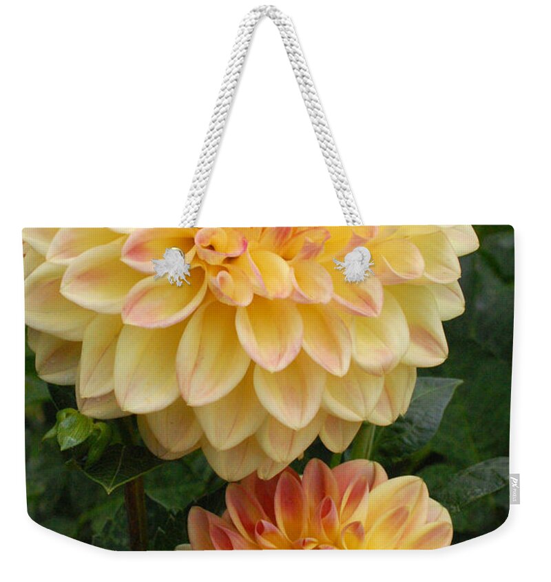 Dahlia Weekender Tote Bag featuring the photograph Yellow and Orange Dahlias 2 by Amy Fose